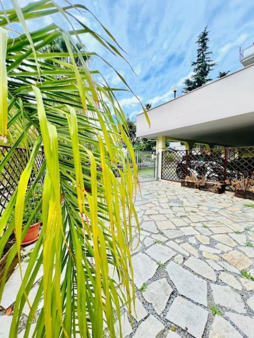 Suite Dei Fiori - Luxury Open Space サンレモ エクステリア 写真